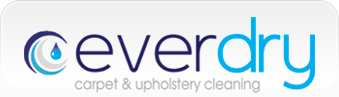 ever logo